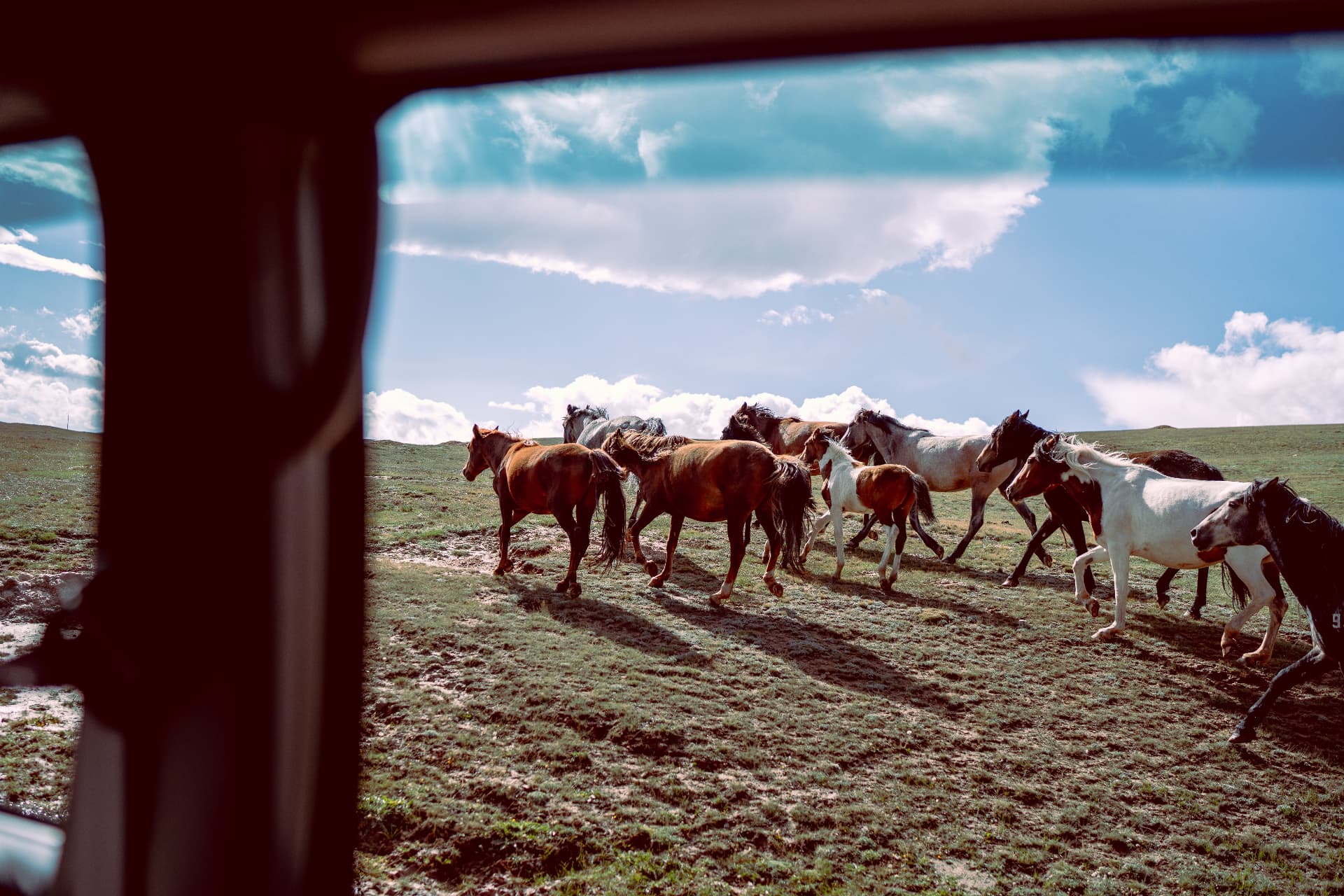 Kyrgyzstan — plate 11
