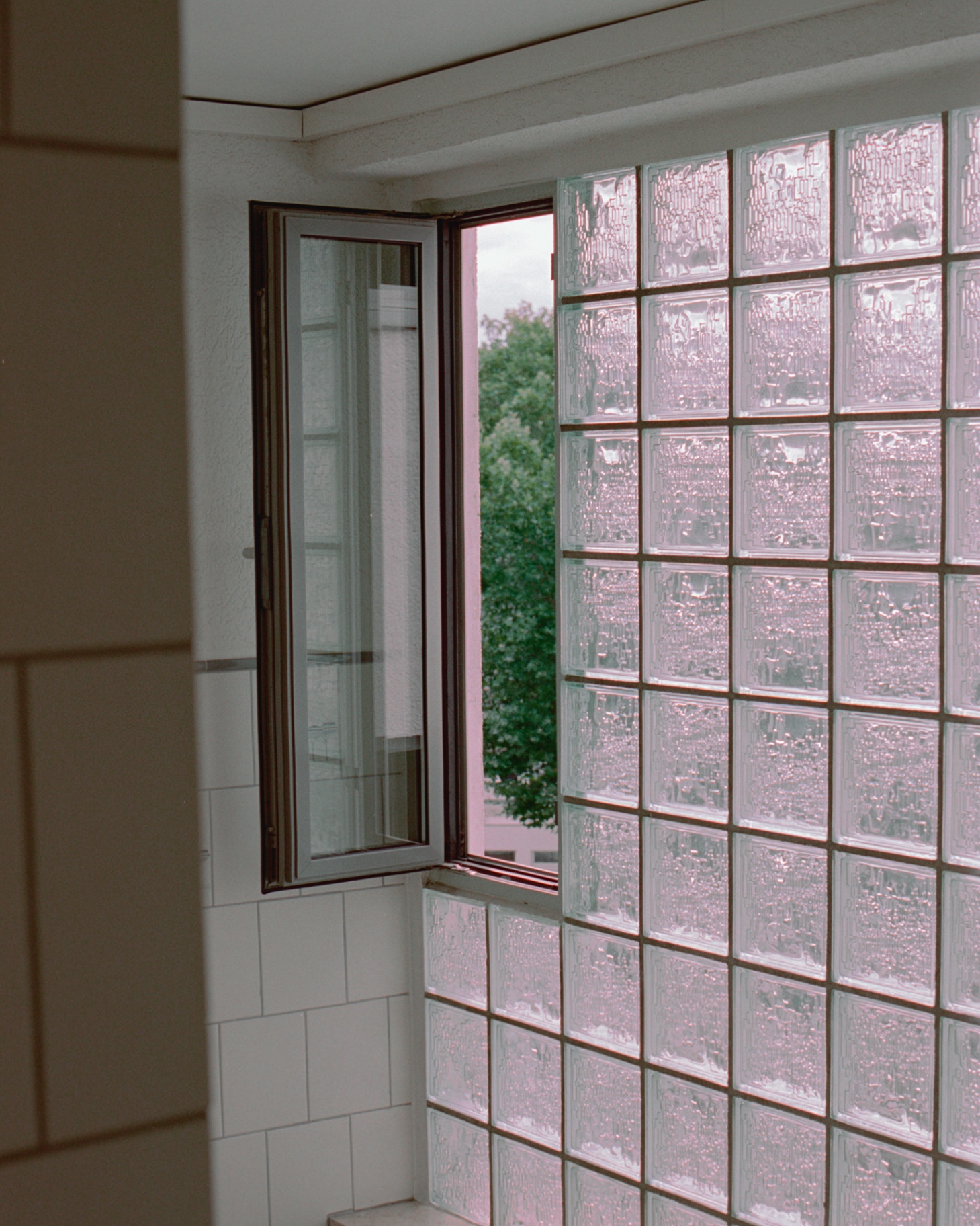 Window and glass blocks