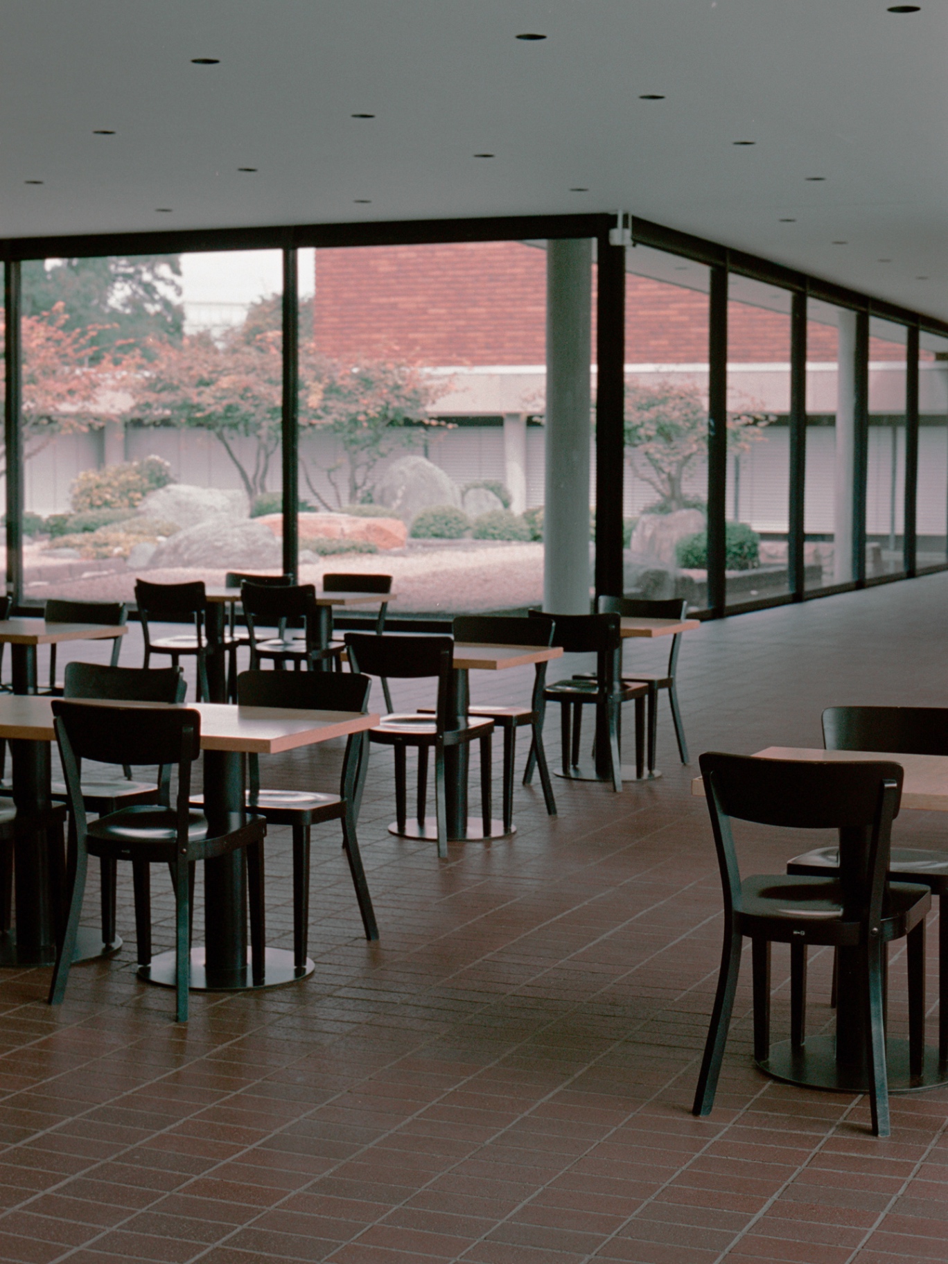 Empty café with view of a Japanese-style garden
